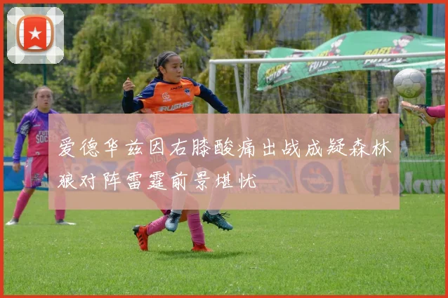 爱德华兹因右膝酸痛出战成疑森林狼对阵雷霆前景堪忧