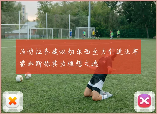 马特拉齐建议切尔西全力引进法布雷加斯称其为理想之选